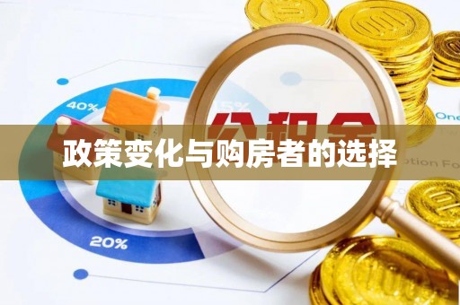 瑞穗政策变化与购房者的选择