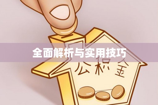 瑞穗全面解析与实用技巧
