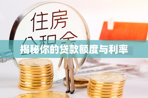 瑞穗揭秘你的贷款额度与利率