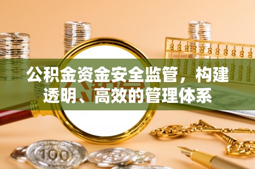 瑞穗公积金资金安全监管，构建透明、高效的管理体系