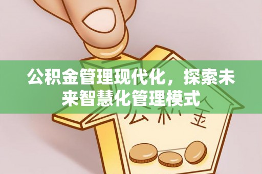 瑞穗公积金管理现代化，探索未来智慧化管理模式