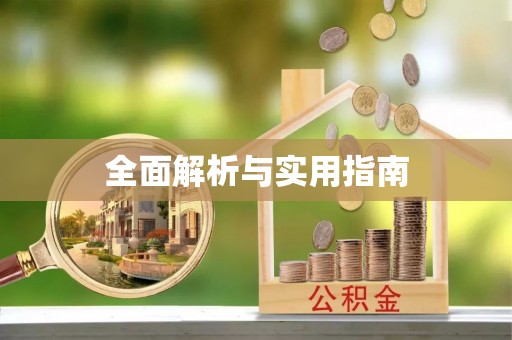 瑞穗全面解析与实用指南