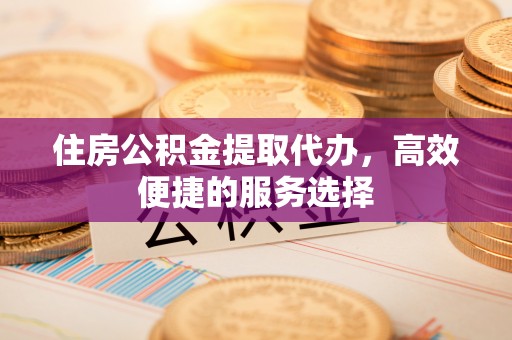 瑞穗住房公积金提取代办，高效便捷的服务选择