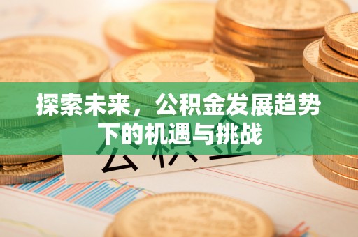 瑞穗探索未来，公积金发展趋势下的机遇与挑战