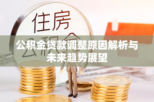 瑞穗公积金贷款调整原因解析与未来趋势展望