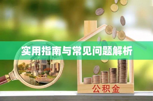 瑞穗实用指南与常见问题解析