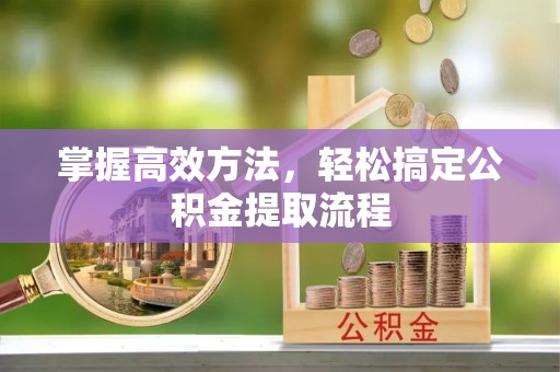 瑞穗掌握高效方法，轻松搞定公积金提取流程