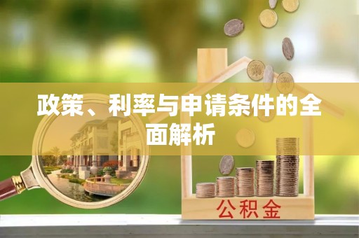 瑞穗政策、利率与申请条件的全面解析