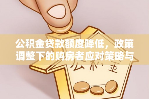 瑞穗公积金贷款额度降低，政策调整下的购房者应对策略与未来趋势