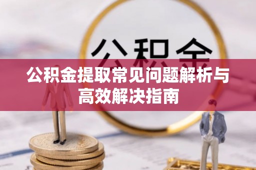瑞穗公积金提取常见问题解析与高效解决指南