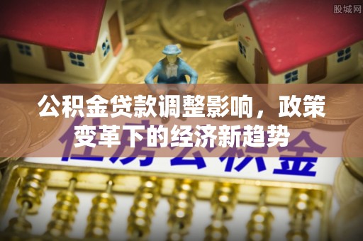 瑞穗公积金贷款调整影响，政策变革下的经济新趋势