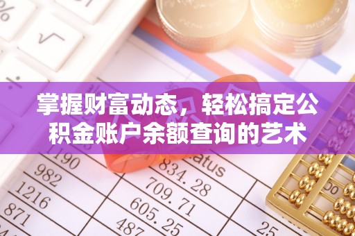 瑞穗掌握财富动态，轻松搞定公积金账户余额查询的艺术