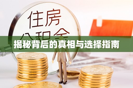 瑞穗揭秘背后的真相与选择指南