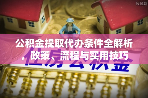 瑞穗公积金提取代办条件全解析，政策、流程与实用技巧