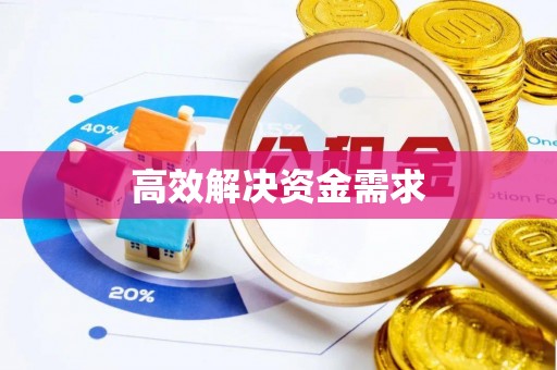 瑞穗高效解决资金需求