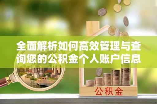 瑞穗全面解析如何高效管理与查询您的公积金个人账户信息