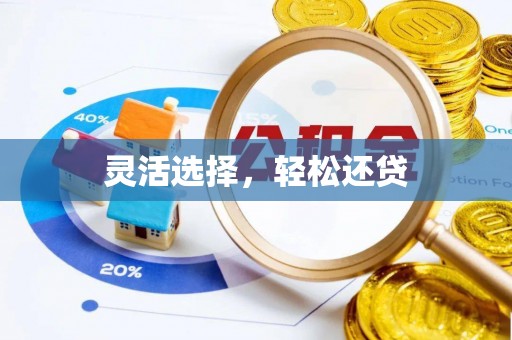 瑞穗灵活选择，轻松还贷