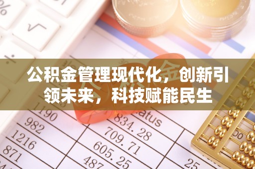 瑞穗公积金管理现代化，创新引领未来，科技赋能民生