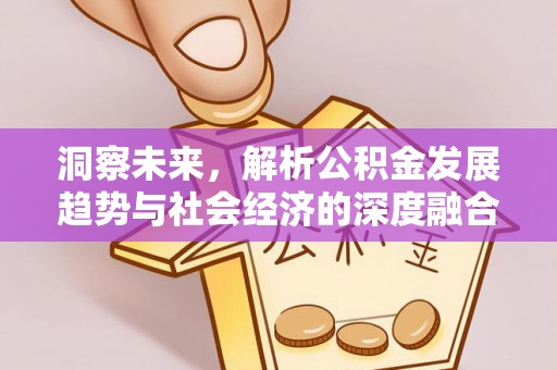 瑞穗洞察未来，解析公积金发展趋势与社会经济的深度融合