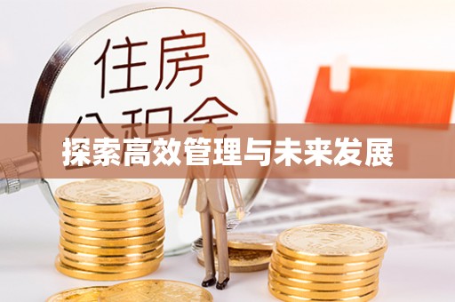 瑞穗探索高效管理与未来发展