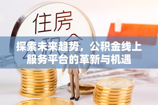 瑞穗探索未来趋势，公积金线上服务平台的革新与机遇
