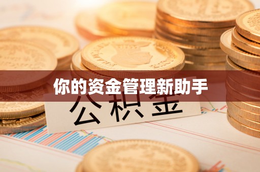 瑞穗你的资金管理新助手