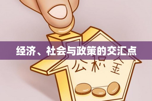 瑞穗经济、社会与政策的交汇点