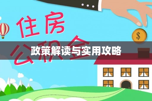 瑞穗政策解读与实用攻略