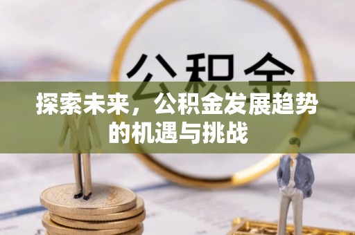瑞穗探索未来，公积金发展趋势的机遇与挑战