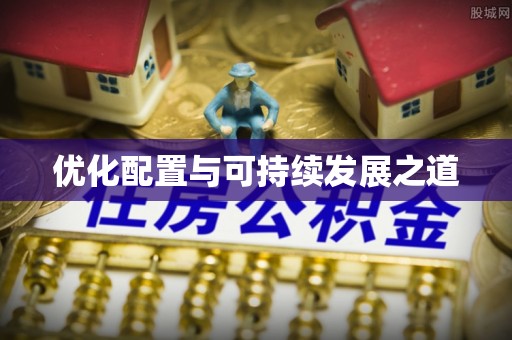 瑞穗优化配置与可持续发展之道