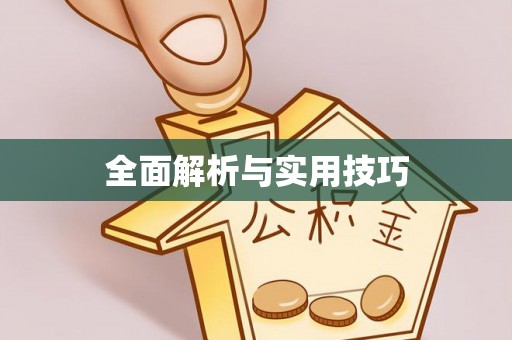 瑞穗全面解析与实用技巧