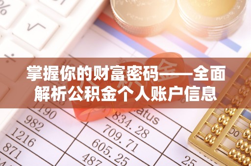 瑞穗掌握你的财富密码——全面解析公积金个人账户信息