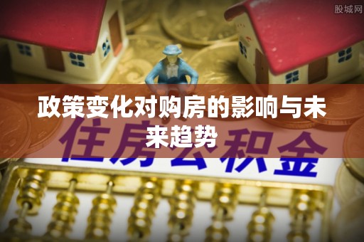 瑞穗政策变化对购房的影响与未来趋势