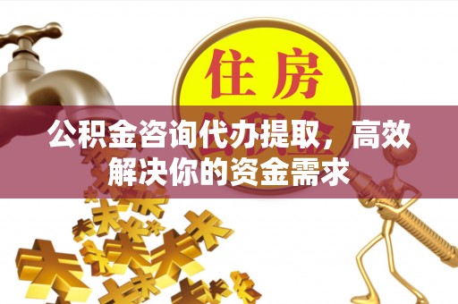 瑞穗公积金咨询代办提取，高效解决你的资金需求
