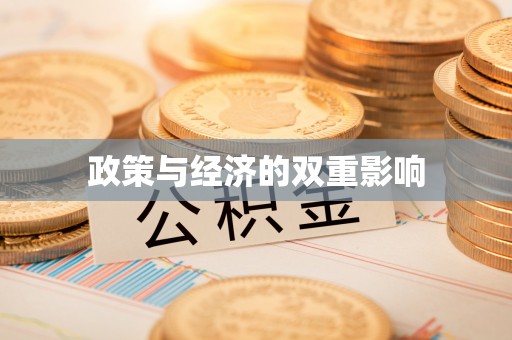 瑞穗政策与经济的双重影响
