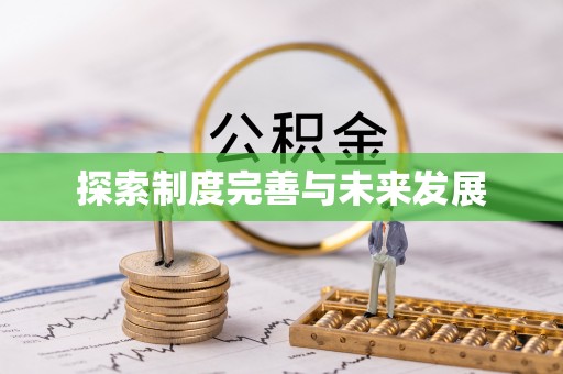 瑞穗探索制度完善与未来发展