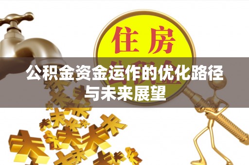 瑞穗公积金资金运作的优化路径与未来展望
