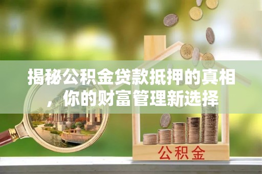 瑞穗揭秘公积金贷款抵押的真相，你的财富管理新选择