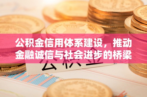 瑞穗公积金信用体系建设，推动金融诚信与社会进步的桥梁