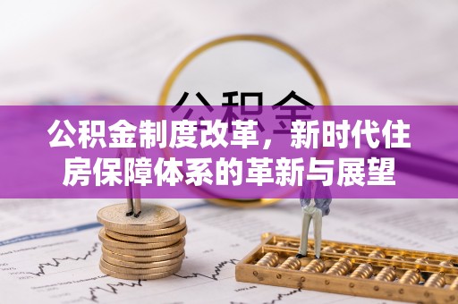 瑞穗公积金制度改革，新时代住房保障体系的革新与展望