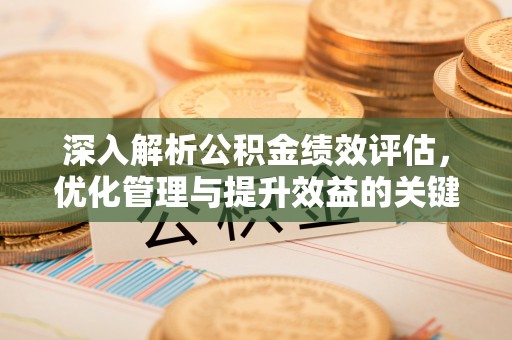 瑞穗深入解析公积金绩效评估，优化管理与提升效益的关键路径