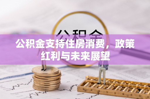 瑞穗公积金支持住房消费，政策红利与未来展望
