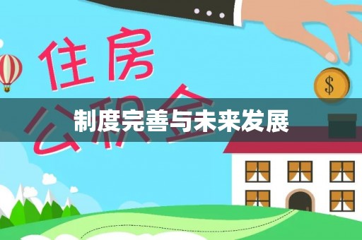 瑞穗制度完善与未来发展