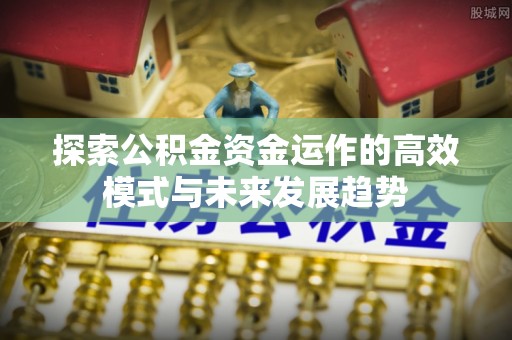 瑞穗探索公积金资金运作的高效模式与未来发展趋势