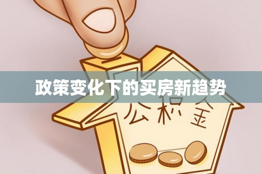 瑞穗政策变化下的买房新趋势