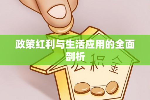 瑞穗政策红利与生活应用的全面剖析