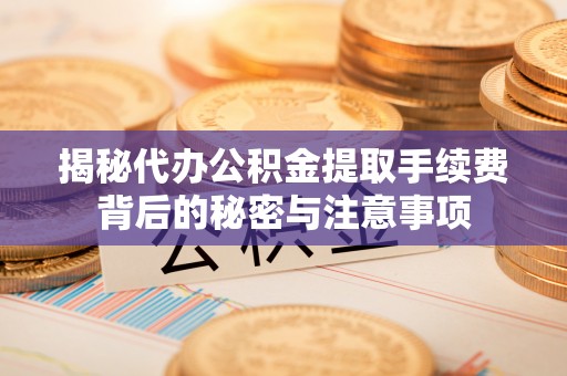 瑞穗揭秘代办公积金提取手续费背后的秘密与注意事项