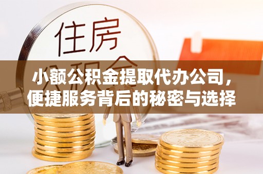 瑞穗小额公积金提取代办公司，便捷服务背后的秘密与选择指南
