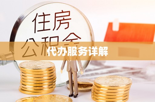 瑞穗代办服务详解
