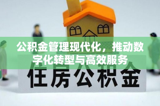 瑞穗公积金管理现代化，推动数字化转型与高效服务